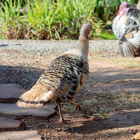 Ferme Sidi Safou & Spa Marrakesh Bagian luar foto