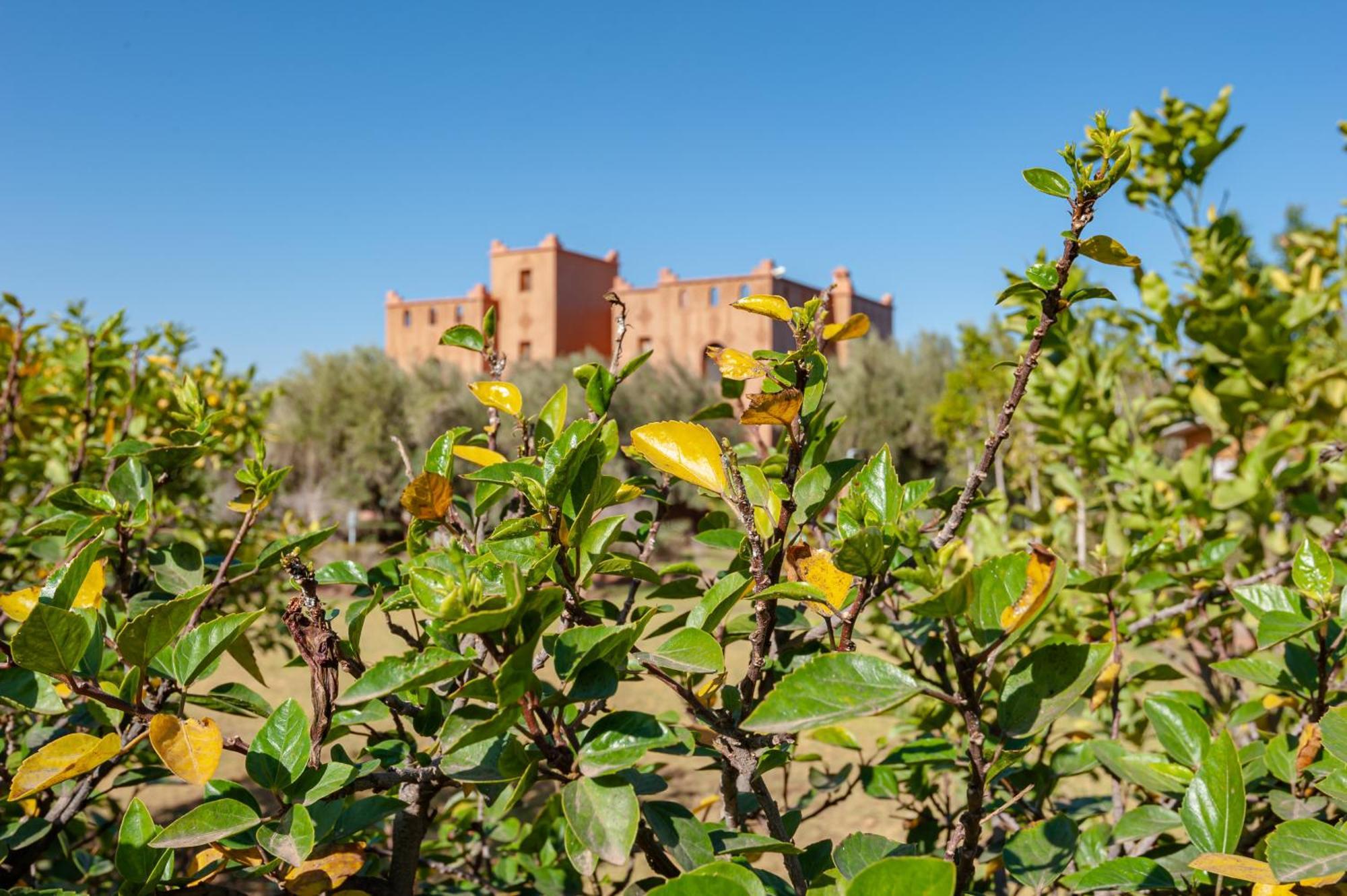 Ferme Sidi Safou & Spa Villa Marrakesh Bagian luar foto