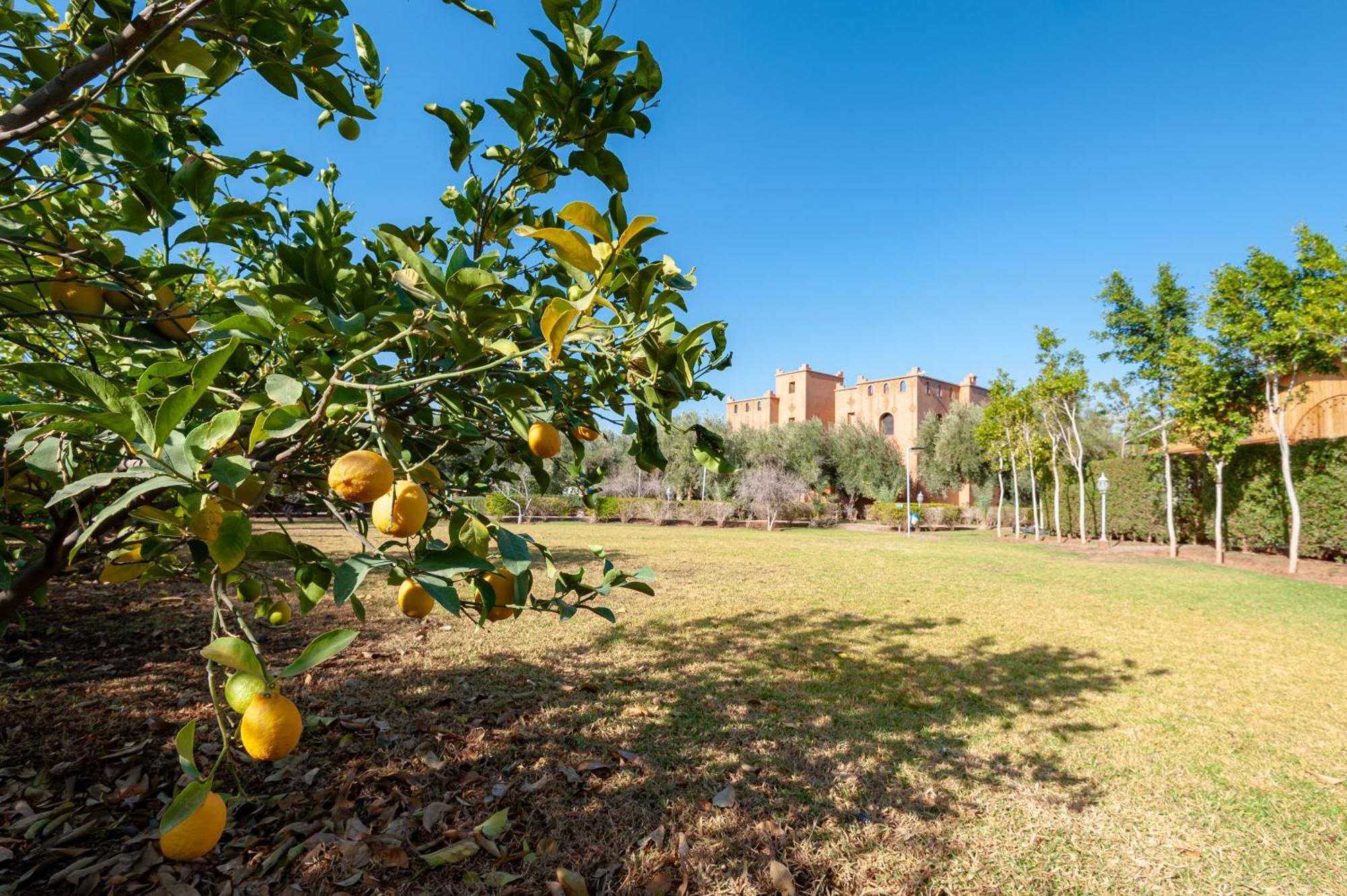 Ferme Sidi Safou & Spa Marrakesh Bagian luar foto